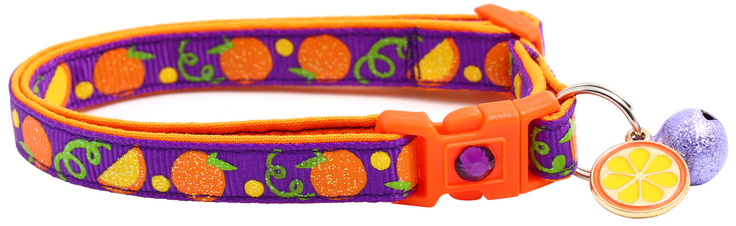 Oranges Breakaway Cat Collar-2