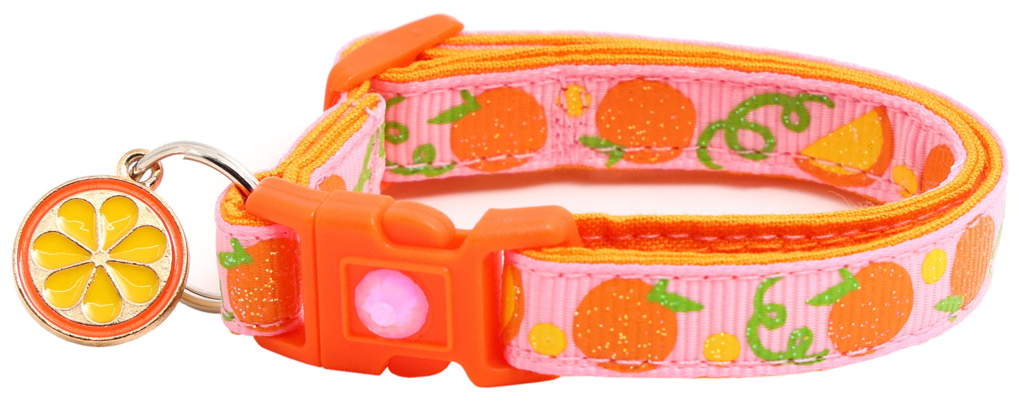 Oranges Breakaway Cat Collar-15