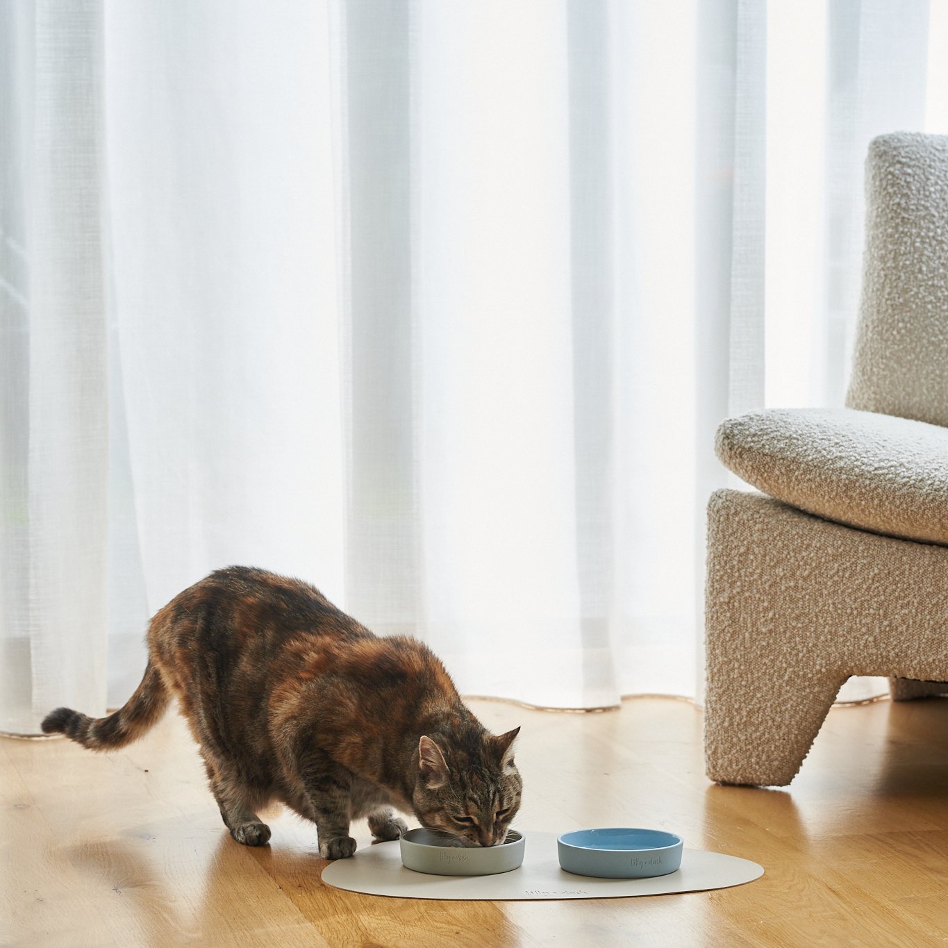 Cat Bowls