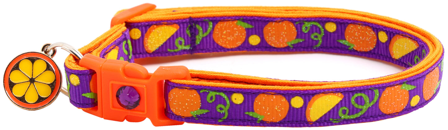 Oranges Breakaway Cat Collar-17