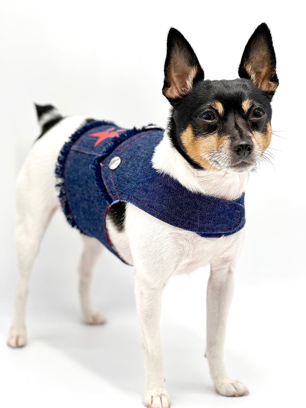 DCNY “Stars & Denim” Vest-Style Harness