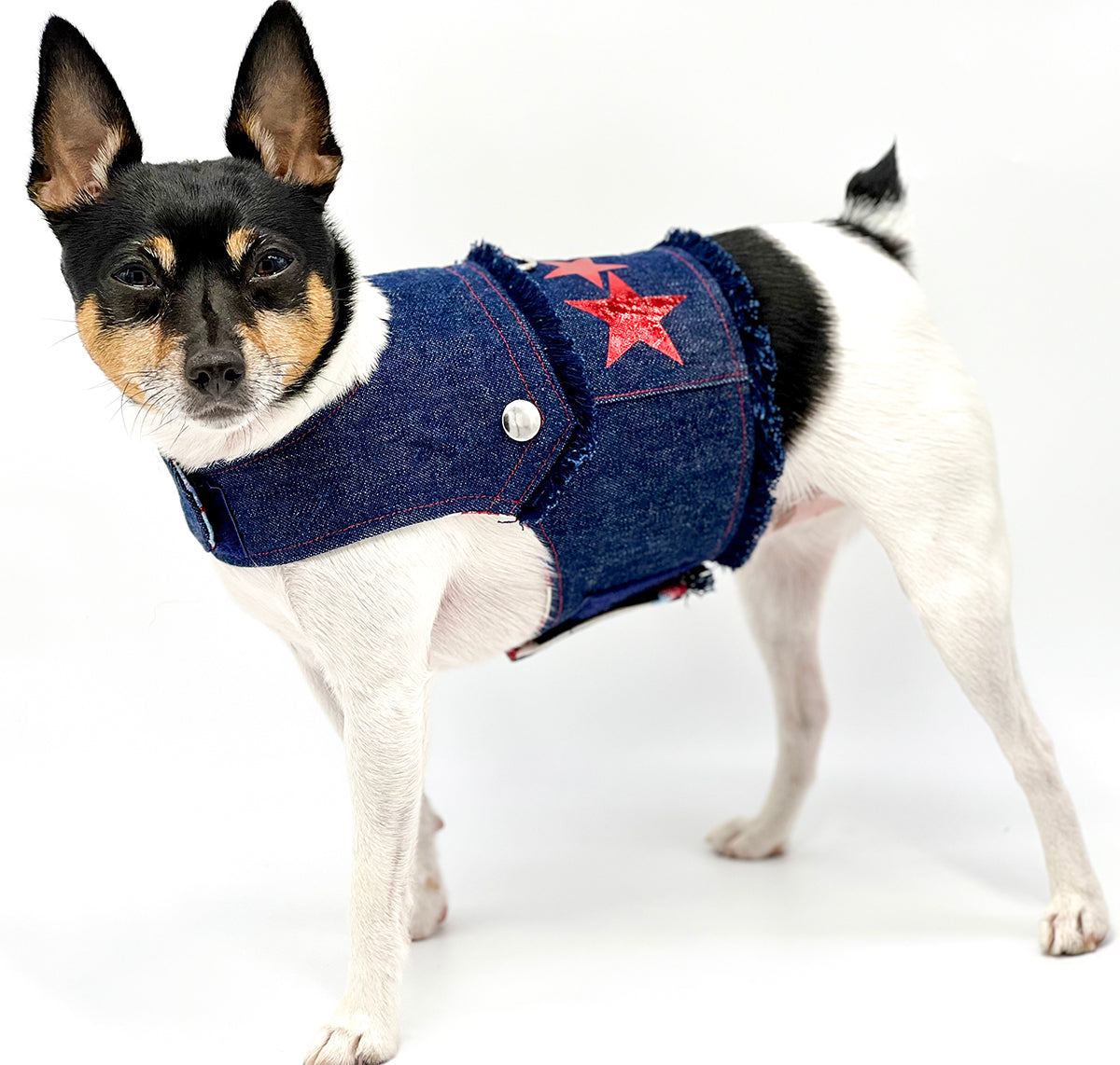 DCNY “Stars & Denim” Vest-Style Harness