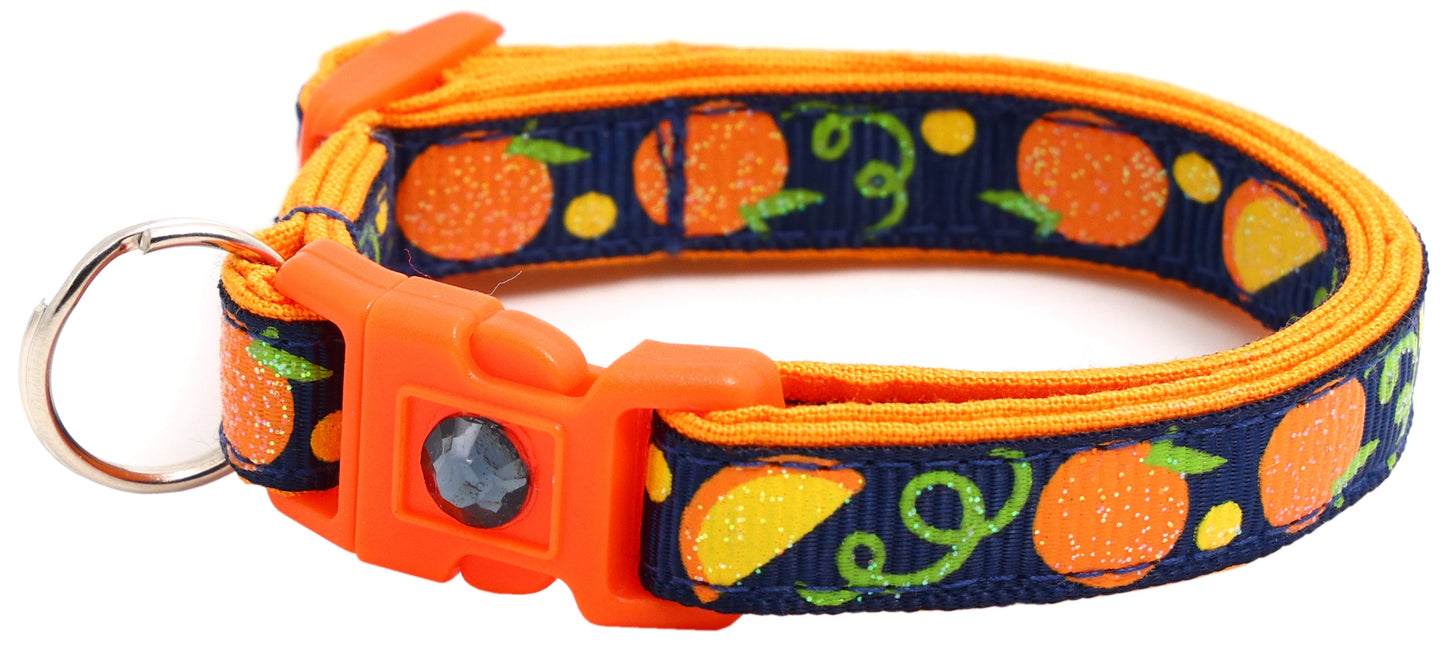 Oranges Breakaway Cat Collar-32
