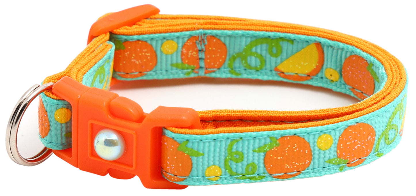 Oranges Breakaway Cat Collar-33
