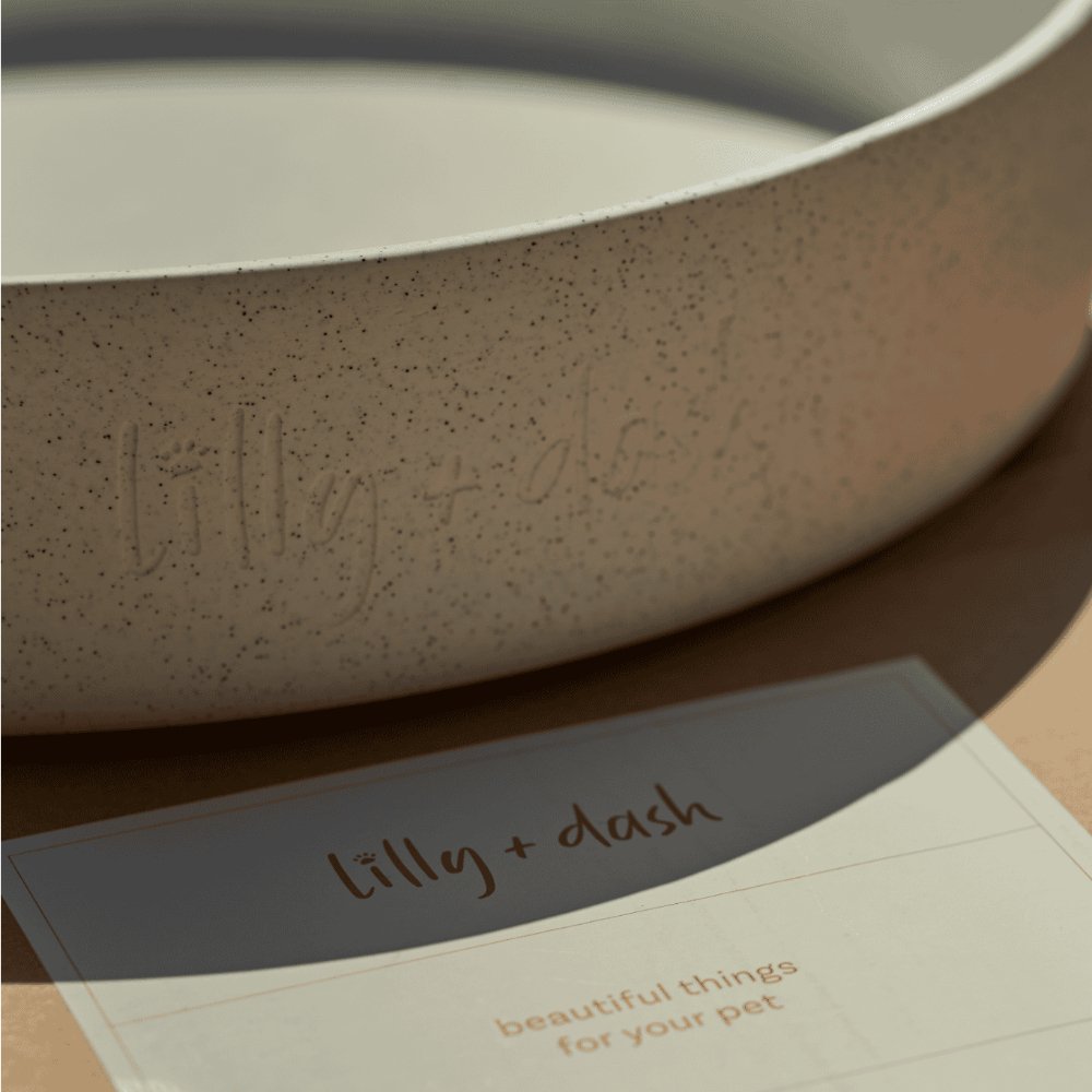 Outdoor Water Bowls
