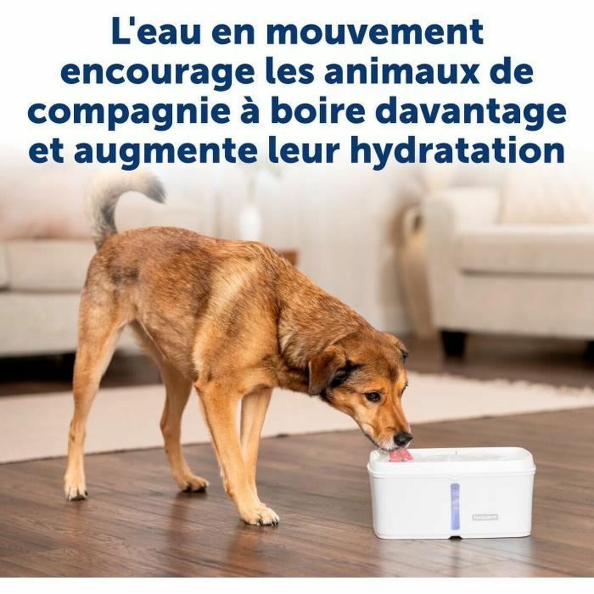 Pet Water Fountain PetSafe White-5