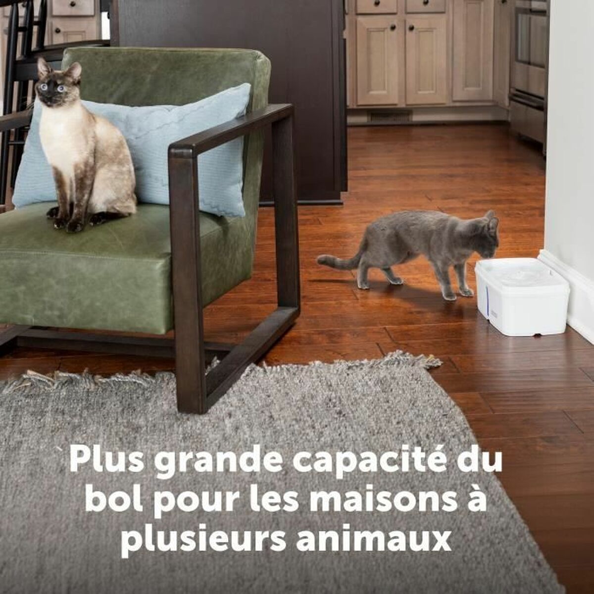 Pet Water Fountain PetSafe White-3