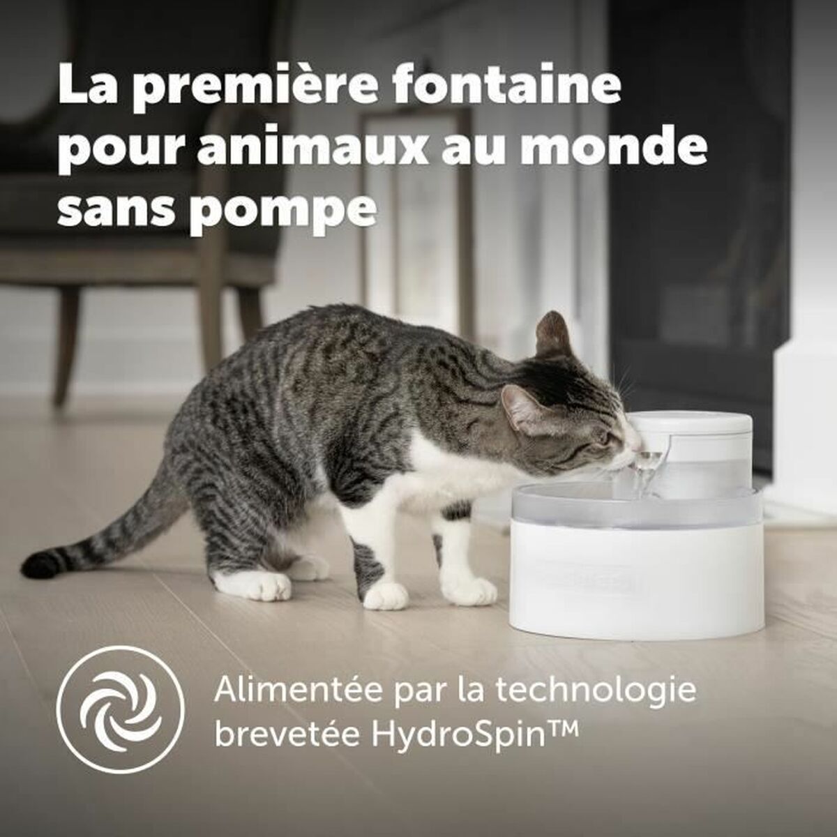 Pet Water Fountain PetSafe White-5