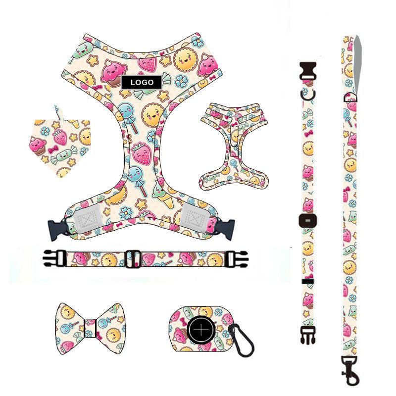 Pet Adventure Leash Set-4