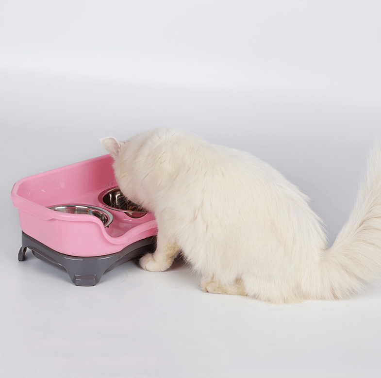 Pet Double Basin Stainless Steel Bowl Set-2