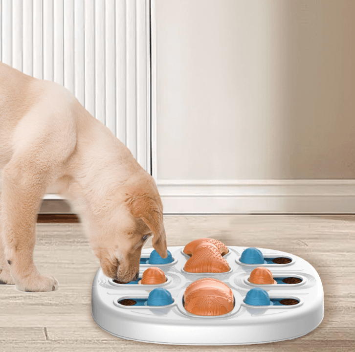 Pet Lick 'N' Learn Slow Feeder-1