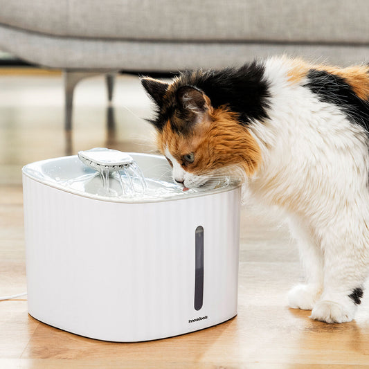 Pet Water Fountain Drinkatt InnovaGoods-0