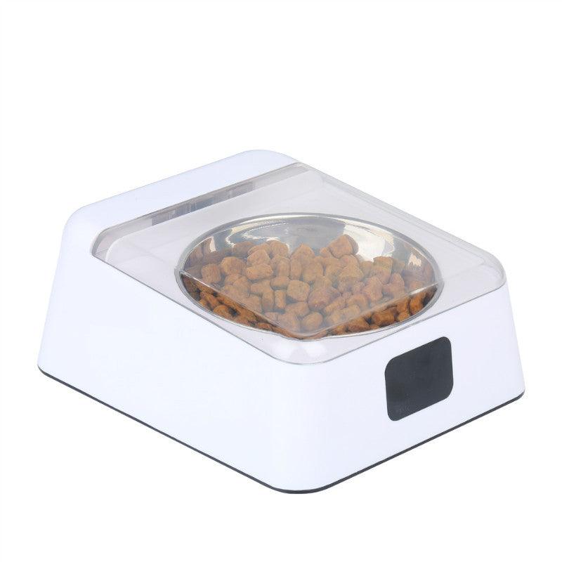 Smartpaws Automatic Moisture-Proof Pet Feeder-0