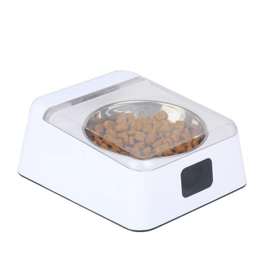 Smartpaws Automatic Moisture-Proof Pet Feeder-0