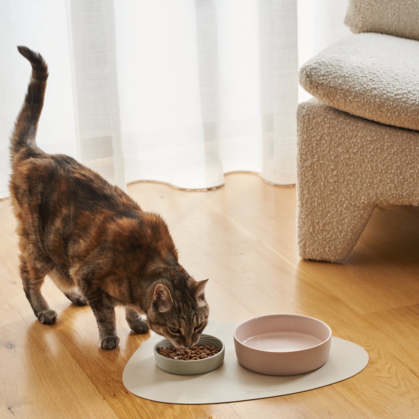 Cat Bowls