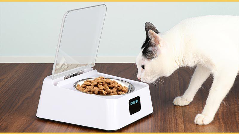 Smartpaws Automatic Moisture-Proof Pet Feeder-3