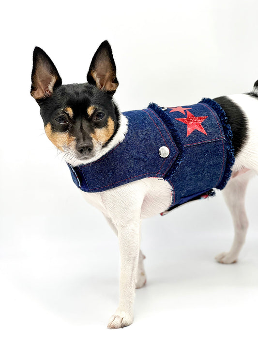 DCNY “Stars & Denim” Vest-Style Harness