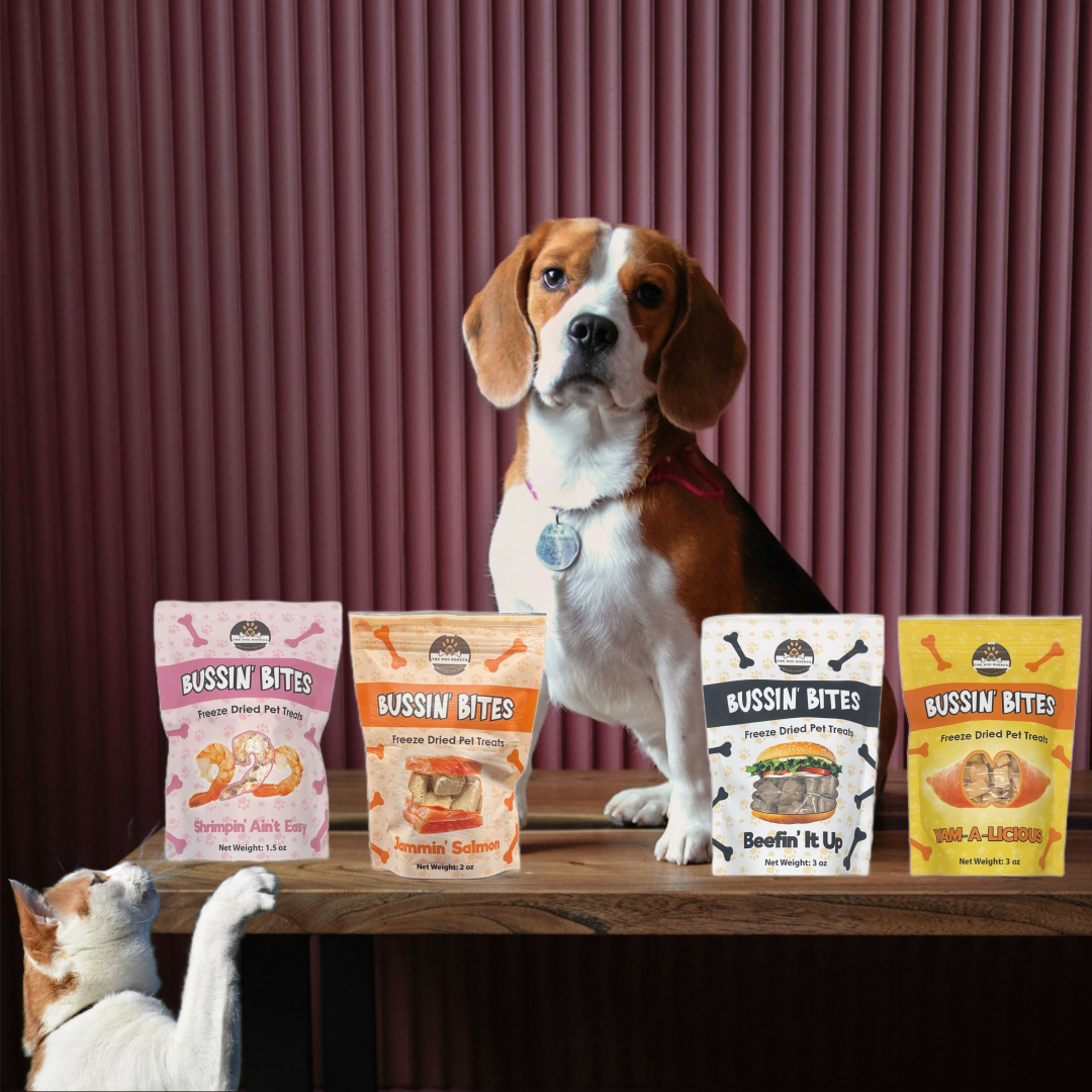 Human-Grade Freeze Dried Dog Treats/ Cat Treats |100% Salmon | Bussin’ Bites Jammin’ Salmon-3