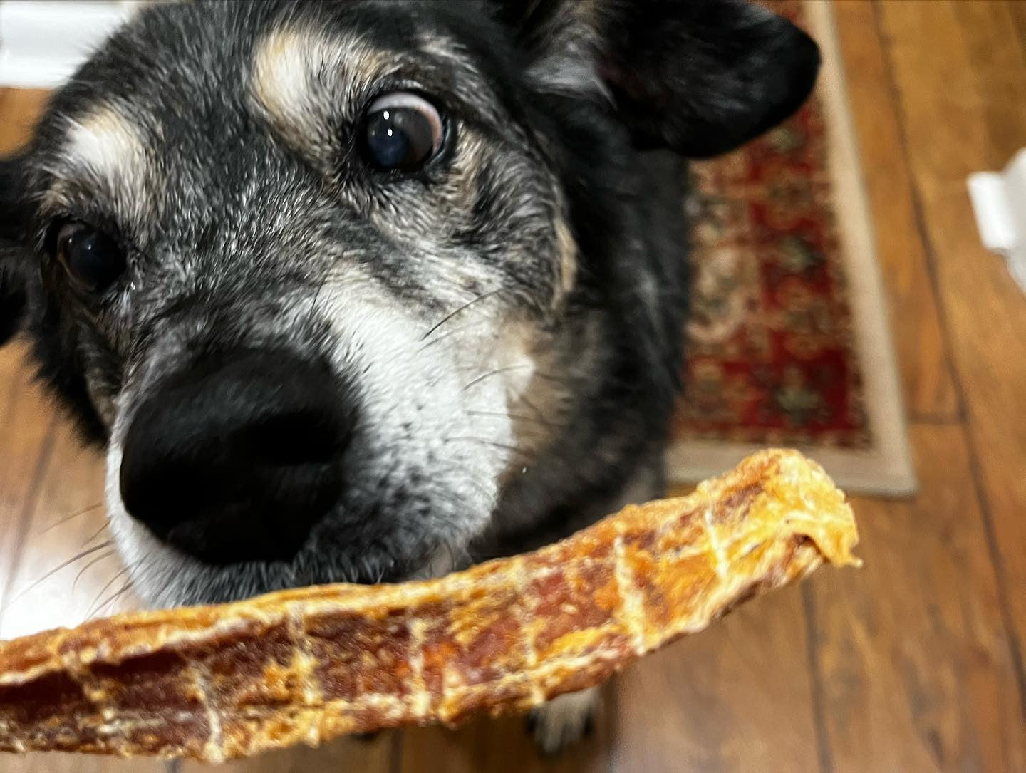Chicken & Peanut Butter Jerky "Doggy Crack"