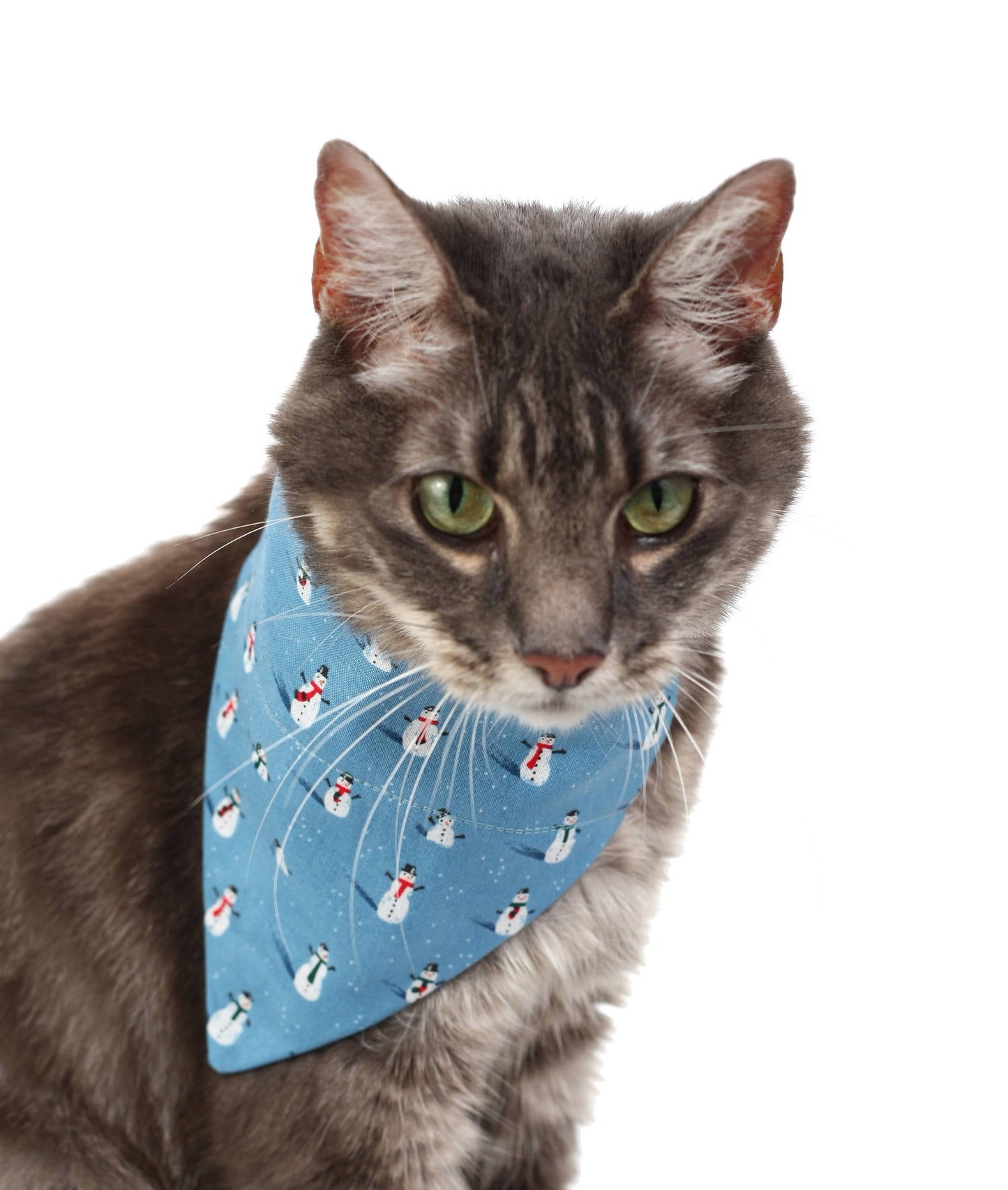 Winter Snowmen Pet Scarf-2