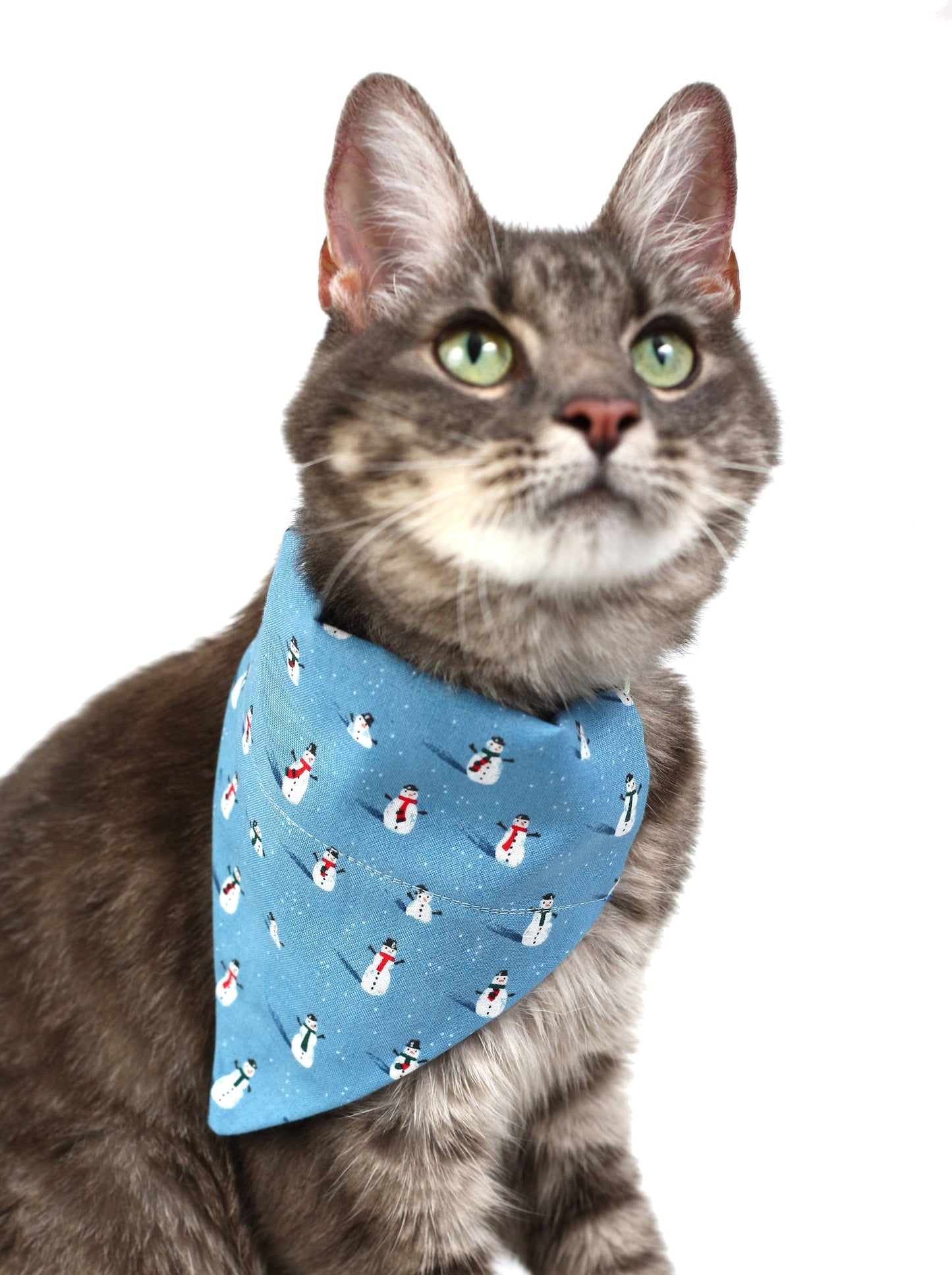 Winter Snowmen Pet Scarf-0