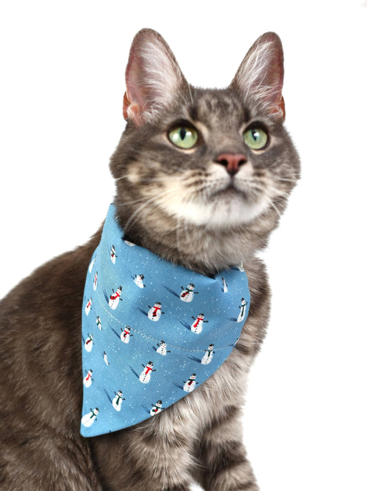 Winter Snowmen Pet Scarf-0